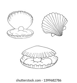 seashells set black and white contour image of a seashells, hand-drawn seashells, design element, coloring