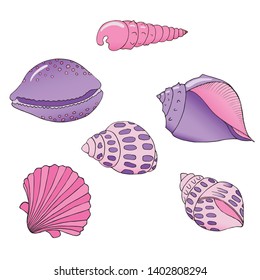 seashells set black and white contour image of a seashells, hand-drawn seashells, design element, coloring