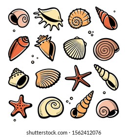 Seashells set. Collection seashells icons. Vector