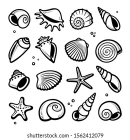 Seashells set. Collection seashells icons. Vector