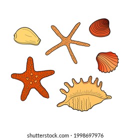 Seashells set. Collection of sea shells different forms. Hand-drawn vector colorful illustrations. Marine set. Design element for invitations, greeting cards, posters, banners, flyers and more.