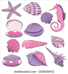 seashells set coloured image of a seashells, hand-drawn seashells, design element, coloring starfish,  sea horse and seaweed