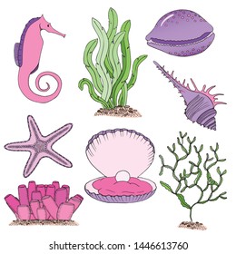 seashells set coloured image of a seashells, hand-drawn seashells, design element, coloring starfish,  sea horse and seaweed