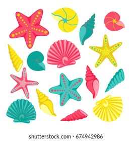 Seashells set. design for holiday greeting card and invitation of seasonal summer holidays, summer beach parties, tourism and travel.