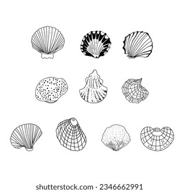 Seashells set doodle line art design element for coloring page, teaching resourses.