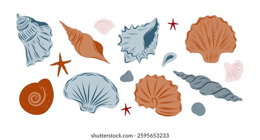 Seashells set, hand drawn seashells of different shapes and colors