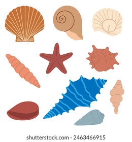  Seashells set isolated on white background in flat stile. Vector illustration EPS 10