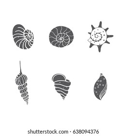 Seashells set isolated on white. Vector illustration. Zentangle. Beach concept for restaurant menu card, ticket, branding, logo label. Black and white seashells collection