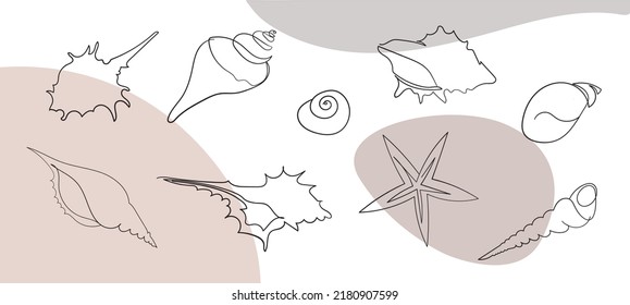 Seashells set on an abstract background. One line drawing of a shell. Hand drawn marine illustrations of seashells. Summer tropical ocean beach style.