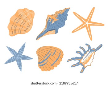 Seashells set. Snail sea shell and starfish. Marine underwater twisted seashell. Spiral shape. Undersea mollusc. Animal and wildlife. Flat vector illustration isolated on white background