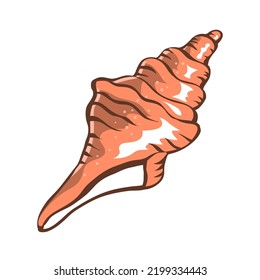 Seashells set. Snail sea shell. Marine underwater twisted seashell. Spiral shape. Undersea mollusc. Animal and wildlife. Cartoon art illustration isolated on white background. Vector sketch