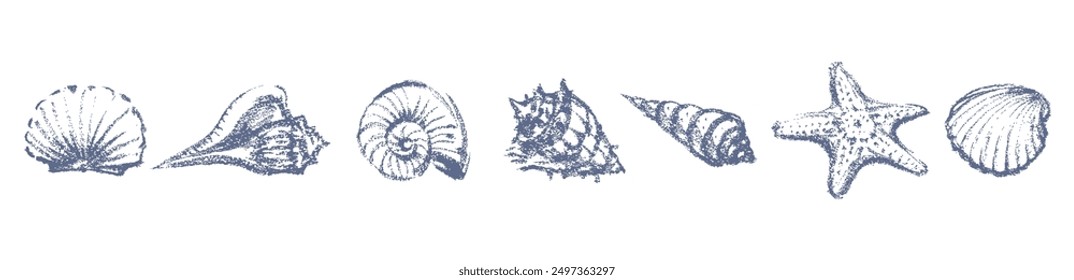 Seashells set textured sketches, mollusks, underwate sealife, vector hand drawn illustration isolated on white