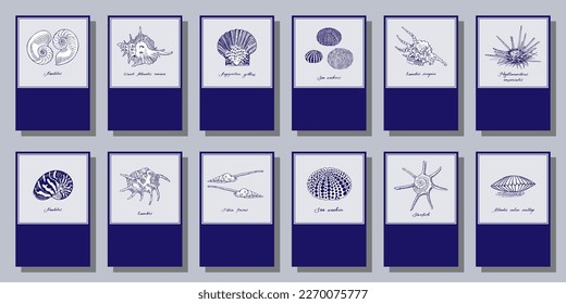 Seashells. Set of twelve vintage style cards and calendar pages. Vector illustration