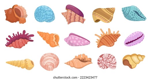 Seashells set. Various colorful mollusk sea shells different forms, starfish and coral. Underwater flora, sea plants collection isolated on white background. Vector illustration