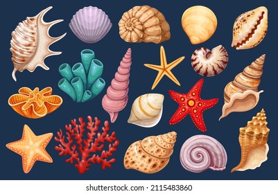 Seashells set. Various mollusk seashells different forms, starfish and coral. Underwater flora, sea plants vector illustration.