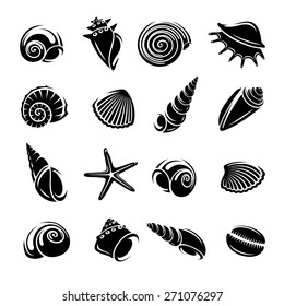 Seashells set. Vector