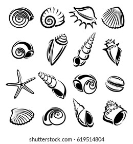 Seashells set. Vector