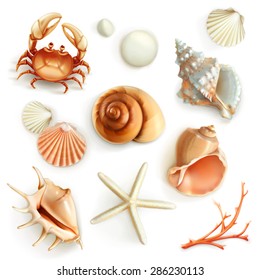 Seashells, set vector icons