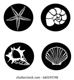 seashells set vector, illustration