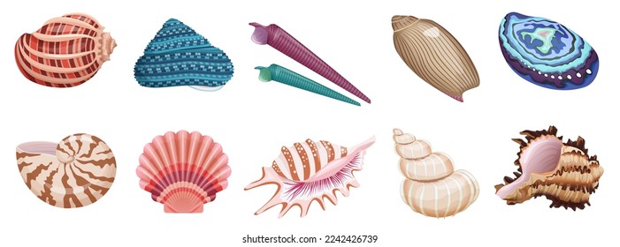 Seashells establece la ilustración vectorial. Dibujo de animales marinos tropicales recogidos con conchas marinas y oceánicas de diferentes colores, patrones y formas aisladas blancas. Vacaciones de verano, concepto de vida submarina