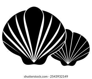 Seashells set. Vector on white background.