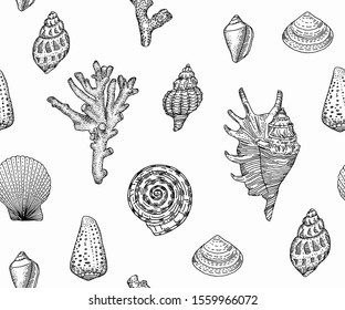 seashells set, vintage engraving style illustration, seamless pattern