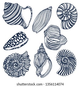 seashells set,vector isolated on white background, hand drawing