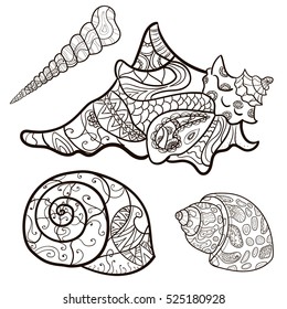 seashells, shell  pattern, shell set, coloring book, page. Vector