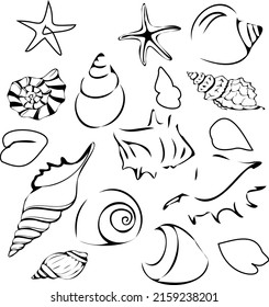 Seashells silhouettes. Contours of seashells
