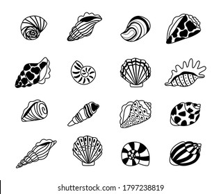 Seashells sketch icons. Sea conchas of clam and oyster sketches, kraken elements of concept of ocean treasure, vector illustration marine shell isolated on white background