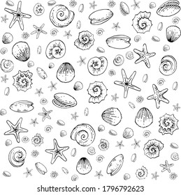 Seashells, snails, starfish. Outline hand drawing. Isolated vector object on white background. Inhabitants of the ocean floor.