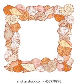seashells, square frame on a white background, vector illustration