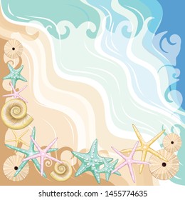Seashells and starfish Beach Summer Frame Vector Illustration 