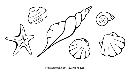 Seashells and starfish collection. Hand drawn doodle black elements on white background. Best for seamless patterns, polygraphy, logo creating and your design.