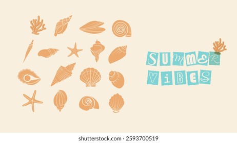 Seashells, starfish, and coral in a minimalist, hand-drawn style with a pastel beach theme. "Summer Vibes" text in playful typography adds a tropical feel. Ideal for summer designs, travel promotions,