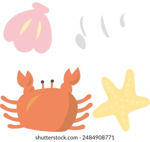 Seashells starfish and crab, marine, under the sea, Elements, vector for decoration 