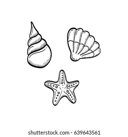 Seashells and starfish hand drawn doodle icons.