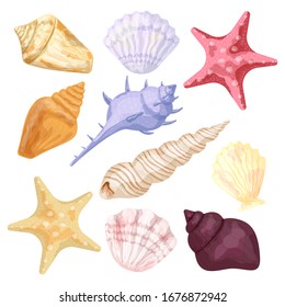 Seashells and starfish. Imitation of watercolor. Set of ten isolated vector illustrations on a white background.