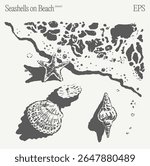 Seashells and Starfish on a Beautiful Beach An Enchanting and Captivating EPS Artwork