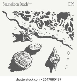 Seashells and Starfish on a Beautiful Beach An Enchanting and Captivating EPS Artwork