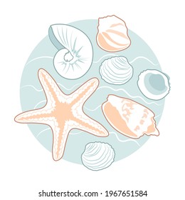 Seashells and starfish on a blue round background. Vector illustration