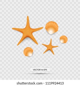 Seashells and starfish. Realistic 3d vector icons. Isolated.