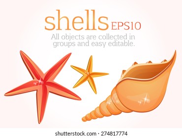 Seashells, starfish, sea creatures