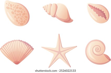 Conjunto de conchas marinas y estrellas de mar. Lindo Clipart de dibujos animados beige. Ilustración vectorial común aislada en un fondo blanco.