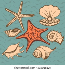 seashells and starfish set vintage color vector illustration