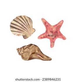 Seashells and starfish. Vector sea illustration in watercolor style. Design element for greeting cards, covers, themed flyers and banners.