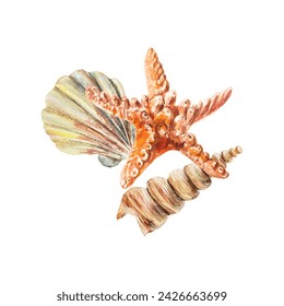 Seashells, starfish watercolor. Sea life vector illustration. Design element for postcards, travel banners, covers, labels, posters, flyers.