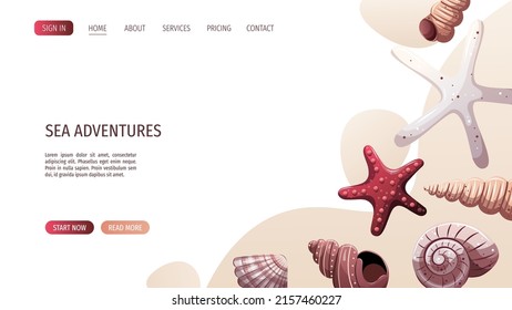 Seashells and starfishes. Beach, marine nature, nautical concept. Vector Illustration. Website template.