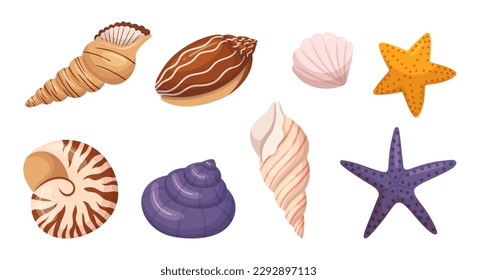 Die Muscheln und die Starfish sind perfekt für die Dekoration zum Thema Strand, mit natürlichen Schönheiten des Meeres, aufwändigen Mustern und einzigartigen Texturen mit Küsten. Cartoon-Vektorgrafik