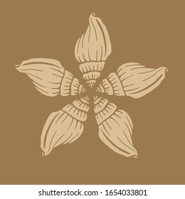 Seashells and starfishes vector card. Marine background. Hand drawn illustrations of engraved line. Perfect for greetings, invitations, manufacture wrapping paper, textile, web design.